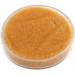 uploaded_by_api=1; sku=REY-RESINACATIONICA10K; idx=00