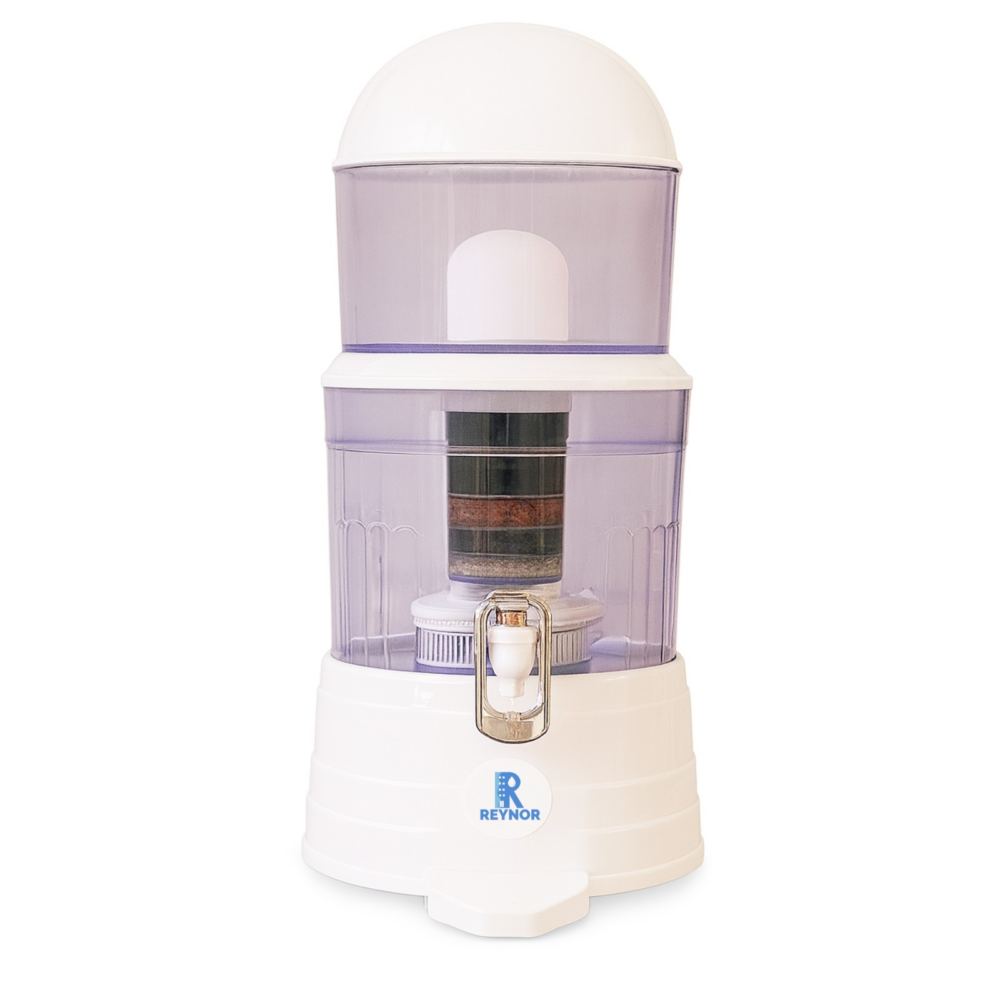 uploaded_by_api=1; sku=REYNOR-GRAV-100; idx=00